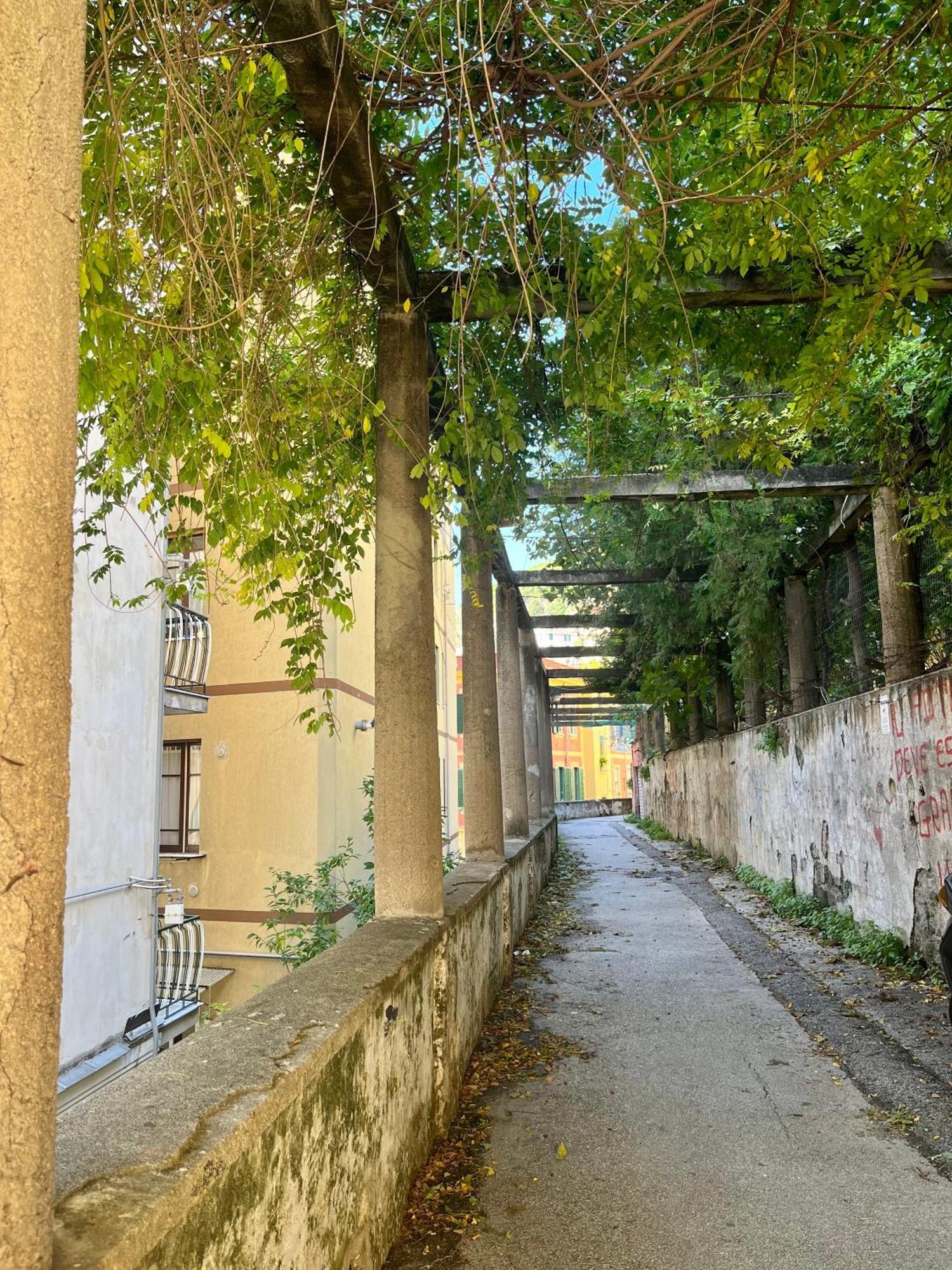 Appartement The Secret Garden à Salernes Extérieur photo